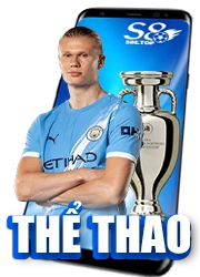 Cá cược thể thao FEBET